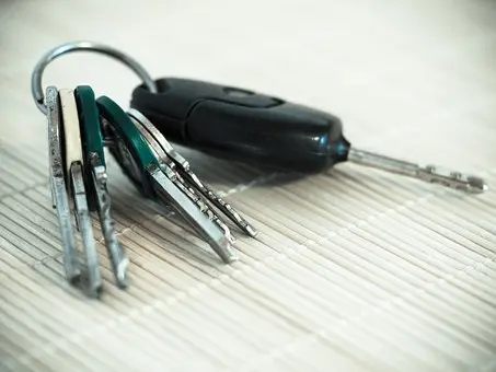 Car-Key-Duplication--Car-Key-Duplication-6536600-image